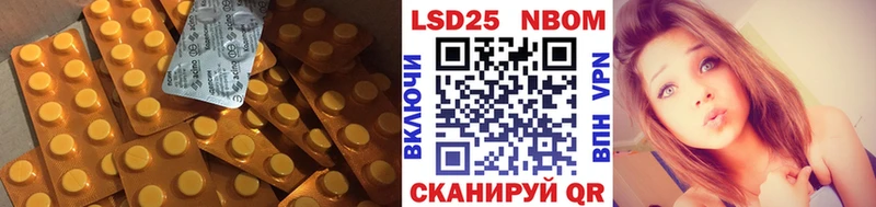 блэк спрут ТОР  Шебекино  LSD-25 экстази ecstasy 