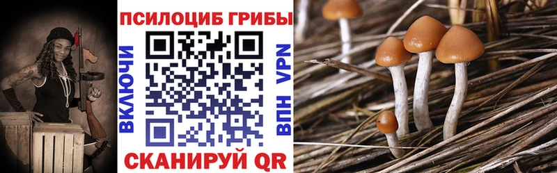 Псилоцибиновые грибы Magic Shrooms  где найти наркотики  Шебекино 